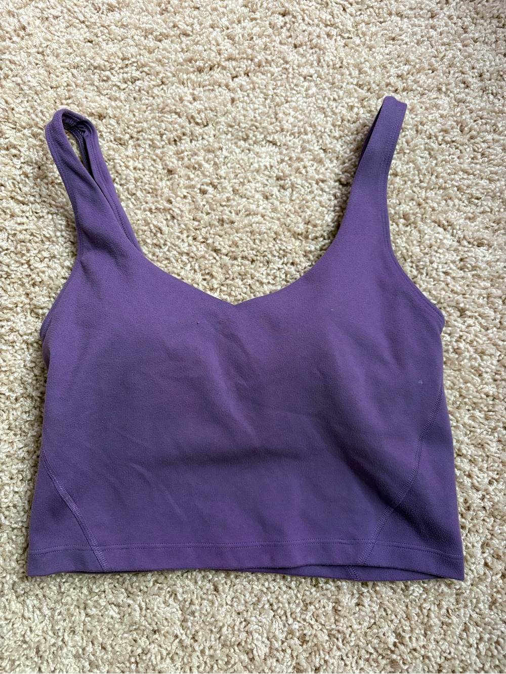 Gilly Hicks Violet Ribbed Cropped Tank